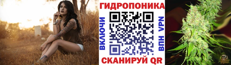 Купить закладки  Александровск  Каннабис план 